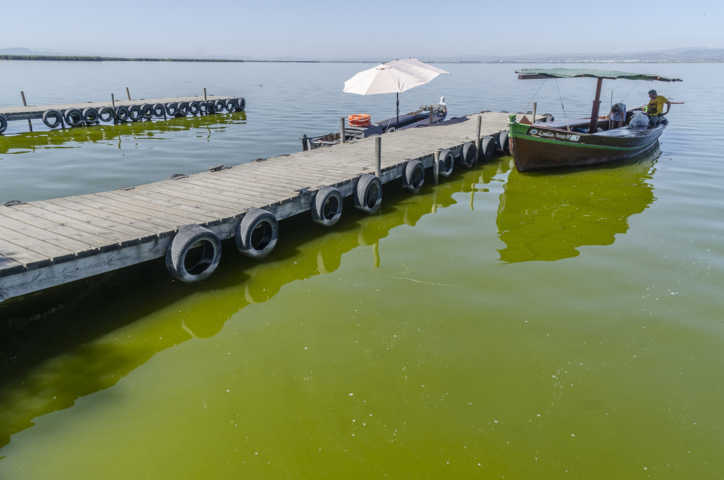 20 - Valencia - La Albufera
